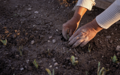 Pequeños productores no tienen capacidad de adaptación climática