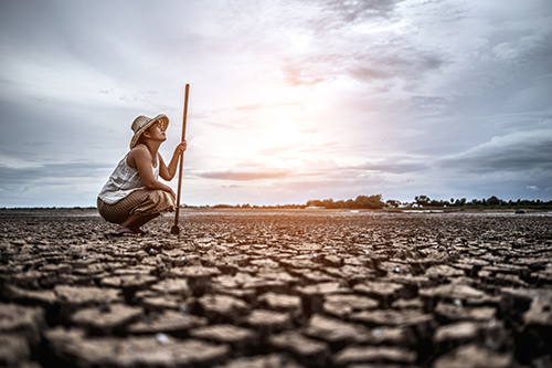 Escala de paisaje para la acción climática